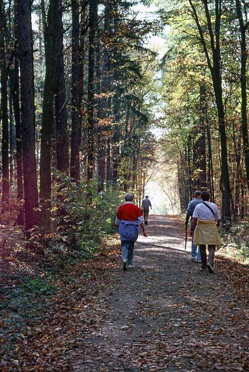 volksmarch path